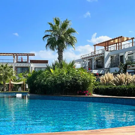 Modern And Luxurious In A Prime *